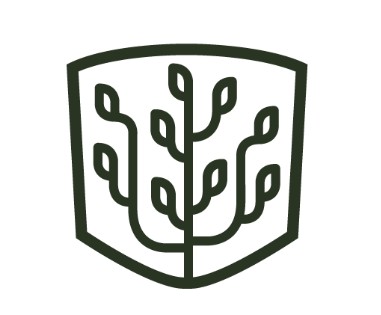 세인츠