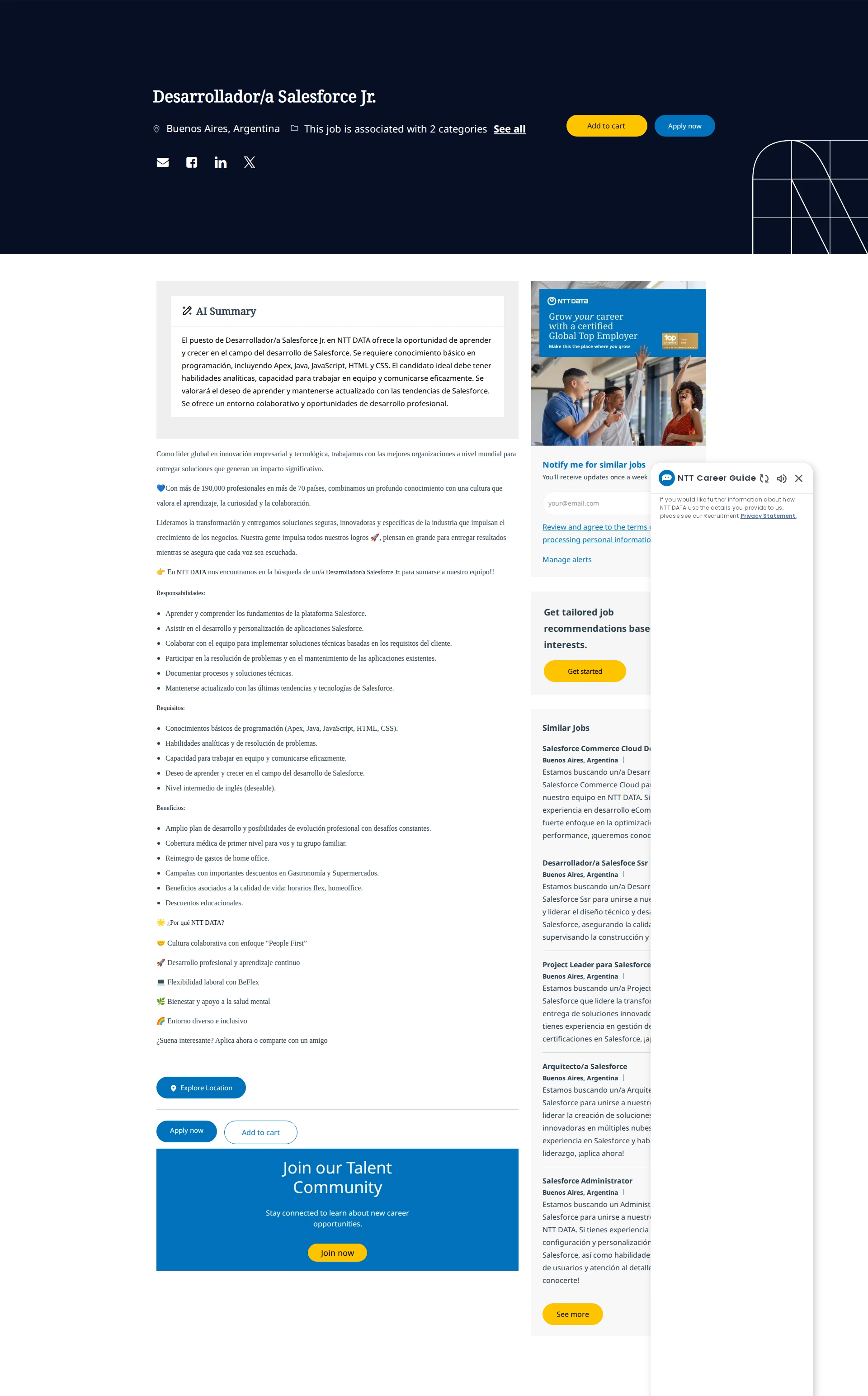 NTT데이터 Desarrollador/a Salesforce Jr. 채용공고