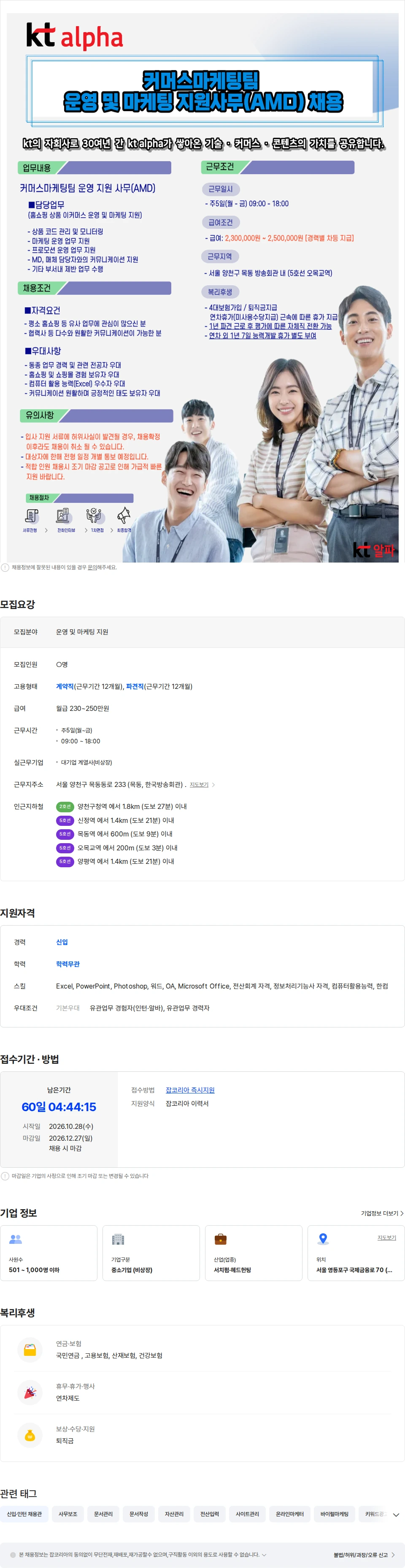 예스맨파워 [목동]KT알파/연차 외 휴가지급/워라벨/ 마케팅팀 AMD 담당 채용 채용공고